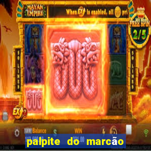 palpite do marcão jogo do bicho