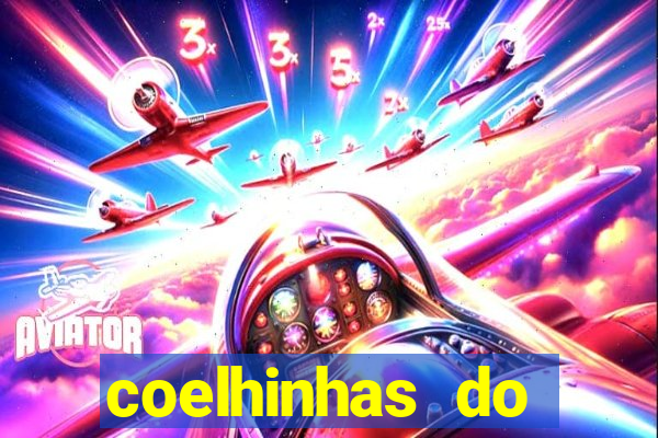 coelhinhas do brasil acompanhantes