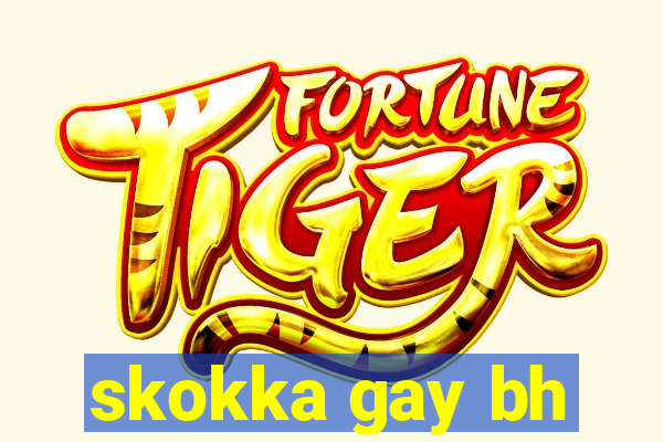 skokka gay bh