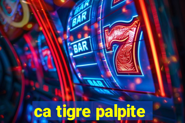 ca tigre palpite