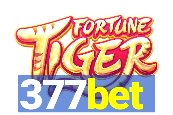 377bet