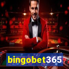 bingobet365