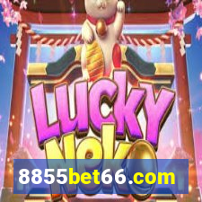 8855bet66.com