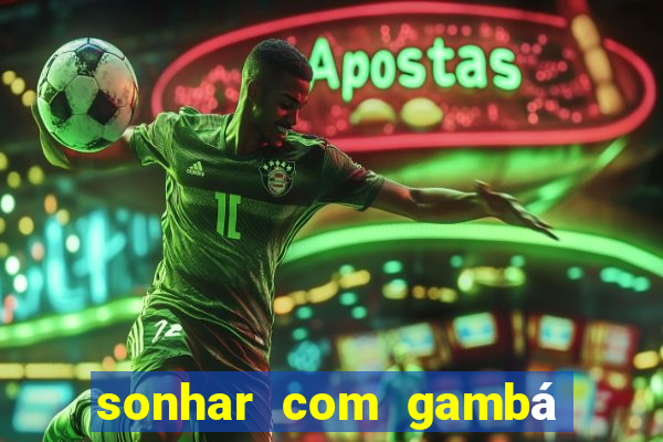 sonhar com gambá jogo do bicho