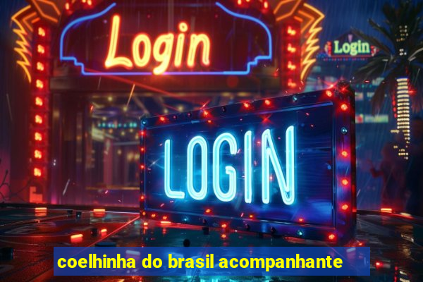 coelhinha do brasil acompanhante