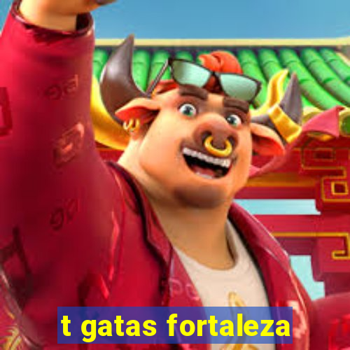 t gatas fortaleza