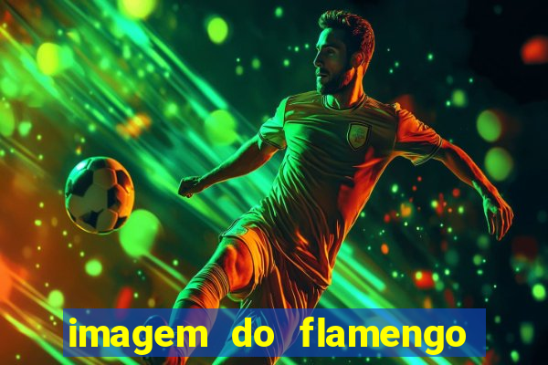 imagem do flamengo para perfil