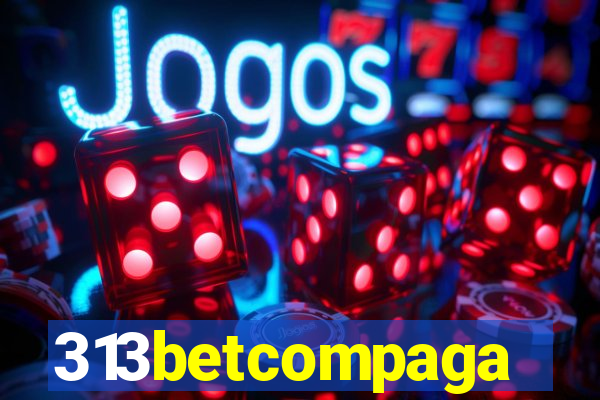 313betcompaga