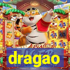 dragao-pg.com